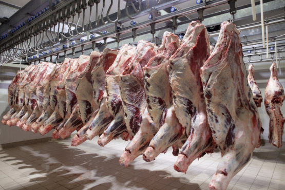 Buenas prácticas de higiene en el deshuese de carne bovina