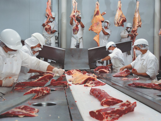 Reducción de costos en la industria cárnica