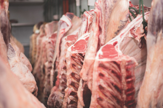 Eficacia del vinagre en la descontaminación de canales bovinas