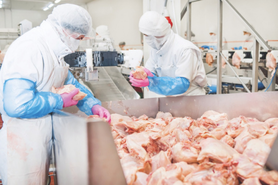 Técnicas avanzadas para optimizar la calidad de la carne de pollo