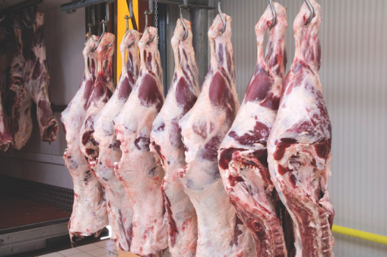 Buenas prácticas de higiene en el deshuese de carne bovina