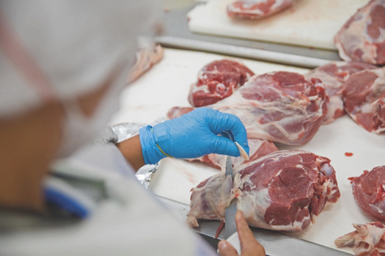 Cómo se verifica el control de patógenos en la carne bovina