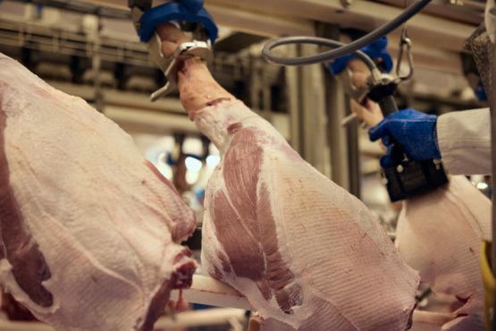  La revolución eléctrica que redefine el descuerado industrial