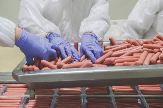 Procesos y recomendaciones para optimizar el color de salchichas