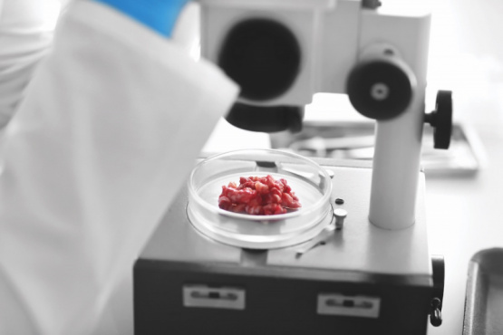 Curso de capacitación en microbiología aplicada a carnes frescas 