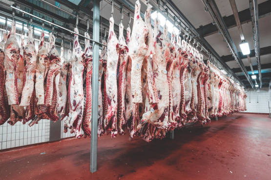 Un encuentro clave para el futuro de la refrigeración industrial